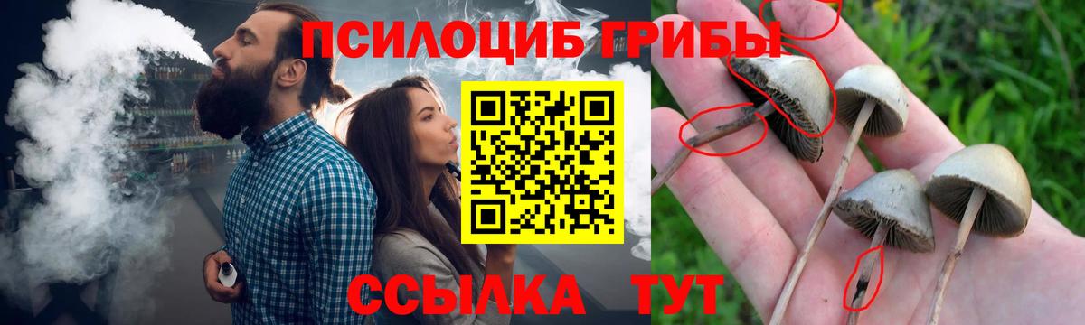 Псилоцибиновые грибы прущие грибы Октябрьский