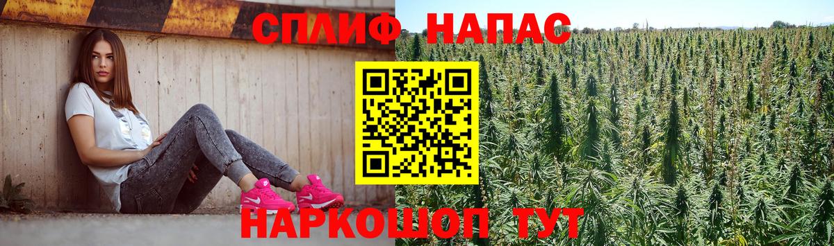 Псилоцибиновые грибы Октябрьский